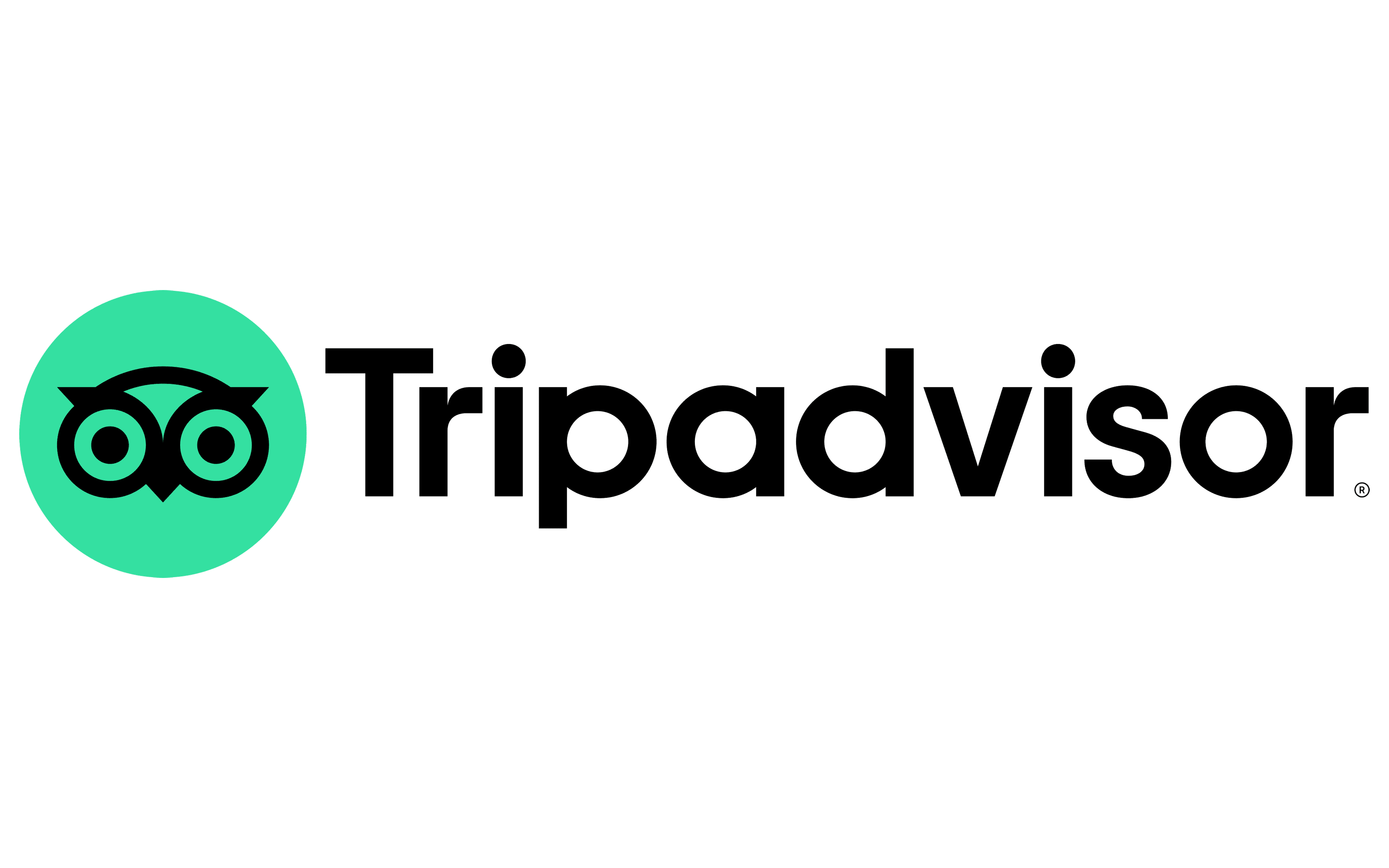 Tripadvisor-Logo